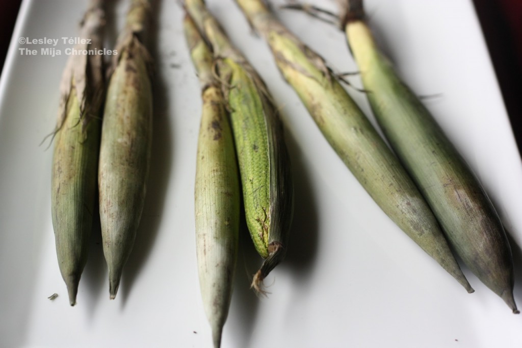 Corn from Mercado La Merced
