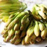 maguey flowers